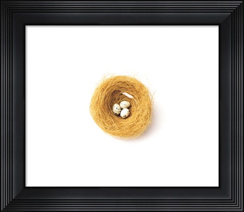 Framed Three Eggs in Nest Illustrated On White Background Print