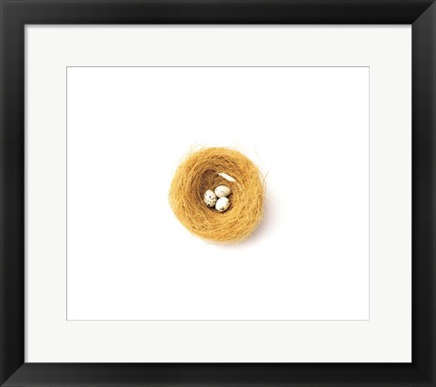 Framed Three Eggs in Nest Illustrated On White Background Print