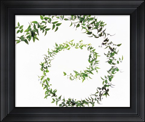 Framed Spiral of Leaves against Background Print