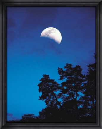 Framed Half-Moon over Trees in Dark Print