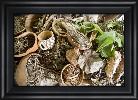 Framed Close-up of natural herbs and healing plants, Bwindi Impenetrable National Park, Uganda Print