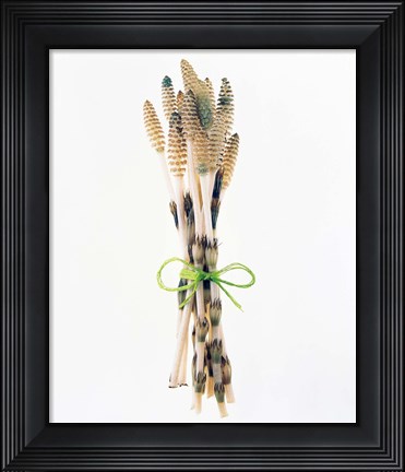 Framed Flowers tied by rope Print