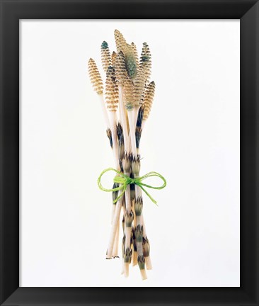 Framed Flowers tied by rope Print