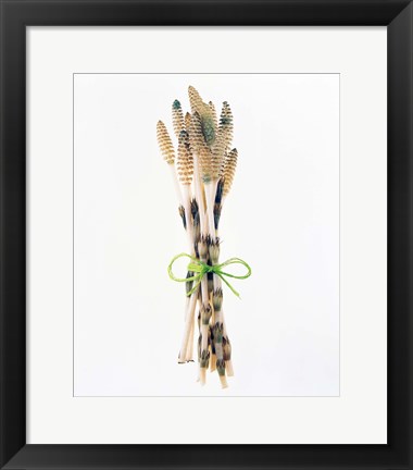 Framed Flowers tied by rope Print