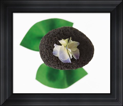 Framed Flower on rock Print