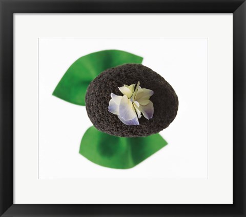 Framed Flower on rock Print