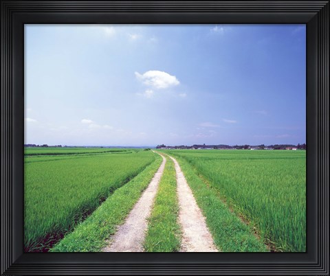 Framed Rural road between crop fields Print