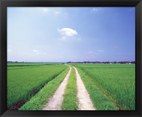 Framed Rural road between crop fields Print