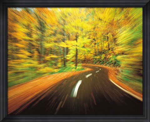 Framed Highway amidst forest Print