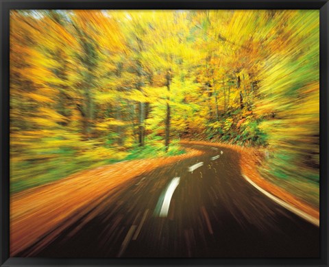 Framed Highway amidst forest Print