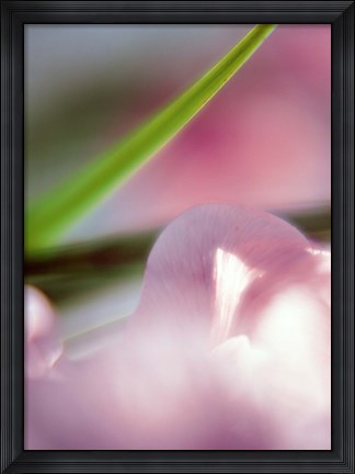 Framed Purple Flower and green leaf Print