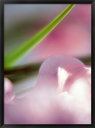 Framed Purple Flower and green leaf Print