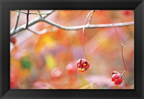 Framed Thin Tree Branch with Bud Print