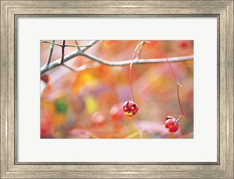Framed Thin Tree Branch with Bud Print