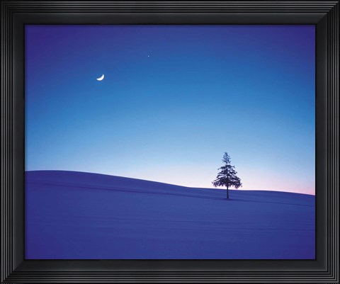 Framed Moon in Sky and Single Tree Print