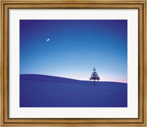 Framed Moon in Sky and Single Tree Print
