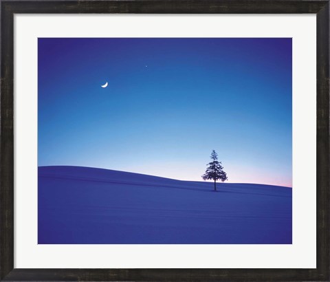 Framed Moon in Sky and Single Tree Print