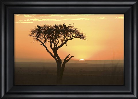 Framed Sunrise over a landscape, Kenya Print