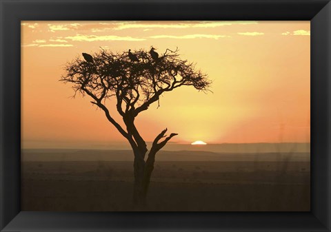 Framed Sunrise over a landscape, Kenya Print
