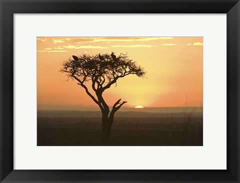 Framed Sunrise over a landscape, Kenya Print