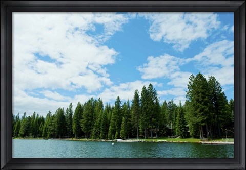 Framed Trees along bank of Lake Almanor, California, USA Print