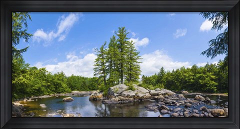 Framed Trees and rocks, Moose River, New York State Print