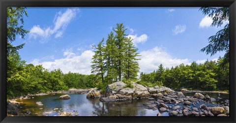 Framed Trees and rocks, Moose River, New York State Print