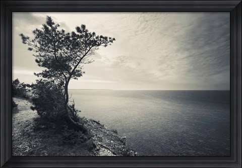 Framed Panga Cliff, Kuressaare, Saaremaa Island, Estonia (black &amp; white) Print