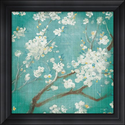 Framed White Cherry Blossoms I on Blue Aged No Bird Print