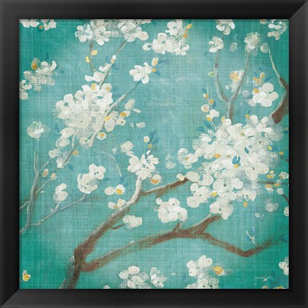 Framed White Cherry Blossoms I on Blue Aged No Bird Print