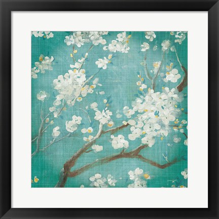 Framed White Cherry Blossoms I on Blue Aged No Bird Print