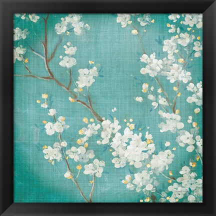 Framed White Cherry Blossoms II on Blue Aged No Bird Print