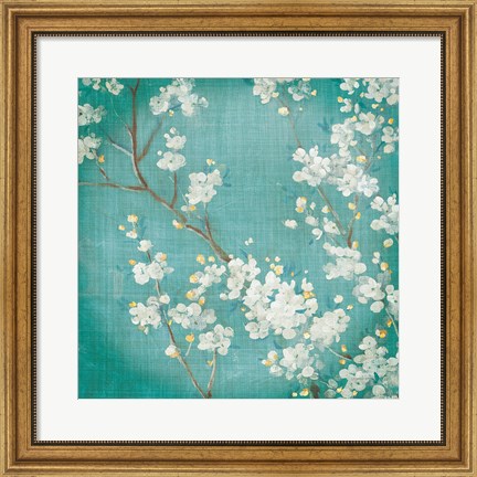 Framed White Cherry Blossoms II on Blue Aged No Bird Print