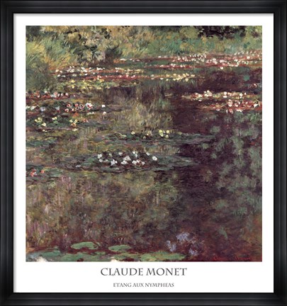 Framed Etang aux Nympheas Print