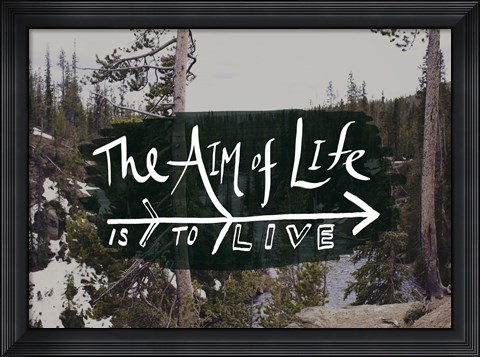 Framed Aim of Life Print