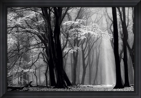 Framed Winter is Coming Print