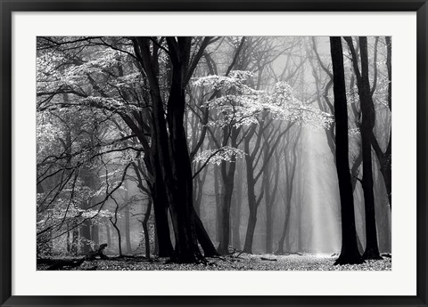 Framed Winter is Coming Print