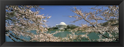 Framed Cherry blossom with memorial in the background, Jefferson Memorial, Tidal Basin, Washington DC, USA Print