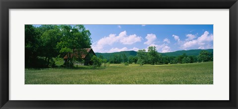 Framed Barn in a field, Cades Cove, Great Smoky Mountains National Park, Tennessee, USA Print