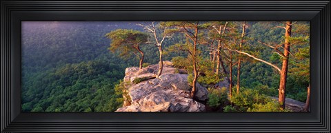 Framed Trees on a mountain, Buzzards' Roost Fall Creek Falls State Park, Pikeville, Bledsoe County, Tennessee, USA Print