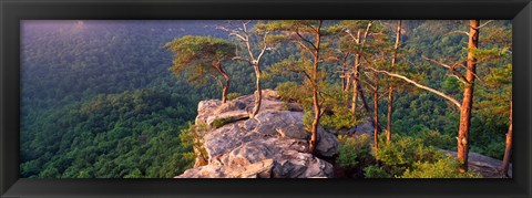 Framed Trees on a mountain, Buzzards&#39; Roost Fall Creek Falls State Park, Pikeville, Bledsoe County, Tennessee, USA Print