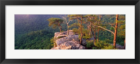 Framed Trees on a mountain, Buzzards&#39; Roost Fall Creek Falls State Park, Pikeville, Bledsoe County, Tennessee, USA Print