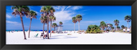 Framed Palm trees on the beach, Siesta Key, Gulf of Mexico, Florida, USA Print