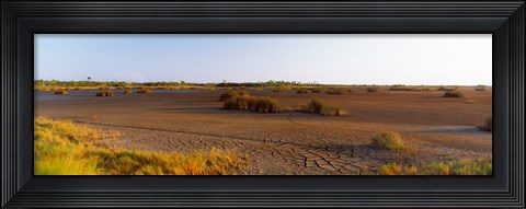 Framed Grass on a dry land, Black Point Wildlife Drive, Merritt Island National Wildlife Refuge, Titusville, Florida, USA Print