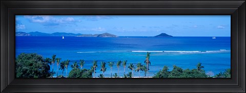 Framed Palm trees on the beach, British Virgin Islands Print