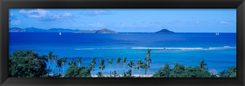 Framed Palm trees on the beach, British Virgin Islands Print