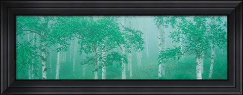 Framed Highlands Yachihokgen Nagano Japan Print