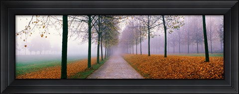 Framed Autumn in Schleissheim Bavaria Germany Print