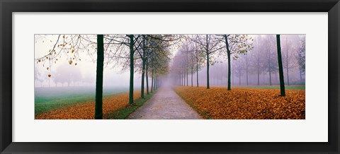 Framed Autumn in Schleissheim Bavaria Germany Print