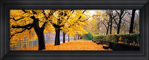 Framed Park Bavaria Munich Germany Print